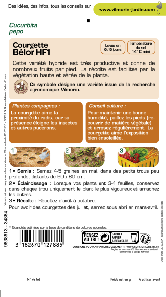 Potagères - Courgette Bélor HF1 - Graines d'Exception - MEDIA_PACKAGING_VERSO